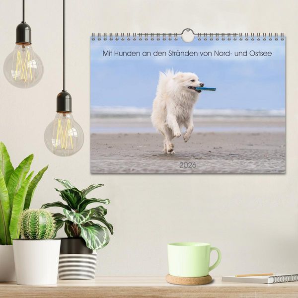 Produktbild: Mit Hunden an den Str&auml;nden von Nord- und Ostsee (Wandkalender 2026 DIN A4 quer), CALVENDO Monatskalender