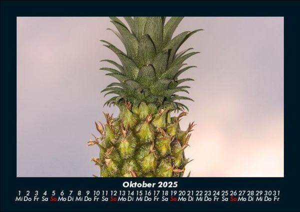 Produktbild: Obstkalender 2025 Fotokalender DIN A5