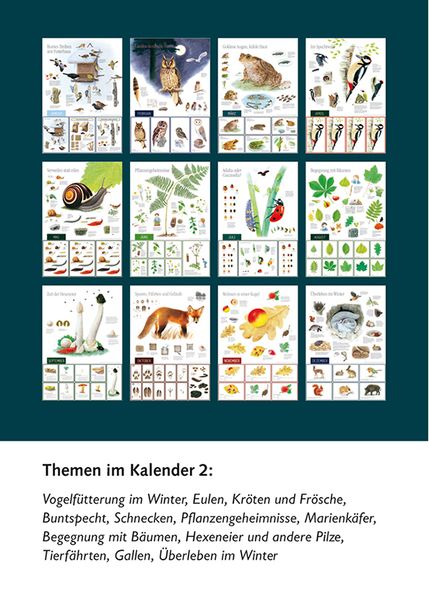 Produktbild: Natur erleben durch das Jahr - 2