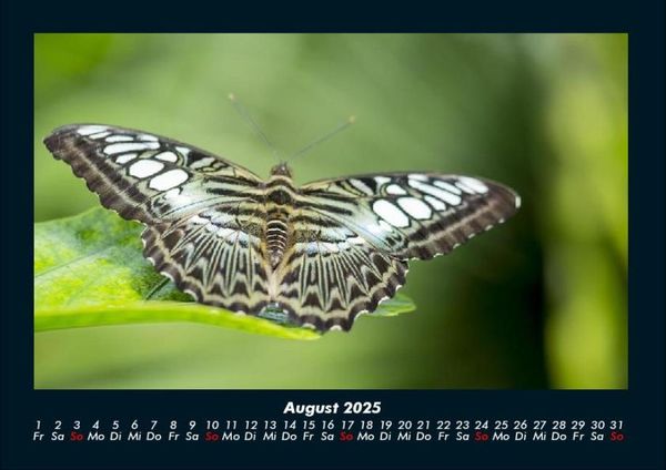 Produktbild: Welt der Tiere 2025 Fotokalender DIN A4