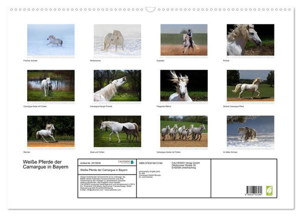 Produktbild: Wei&szlig;e Pferde der Camargue in Bayern (Wandkalender 2026 DIN A2 quer), CALVENDO Monatskalender