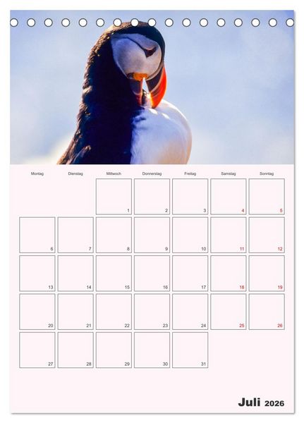 Produktbild: Papageitaucher Monatsplaner (Tischkalender 2026 DIN A5 hoch), CALVENDO Monatskalender