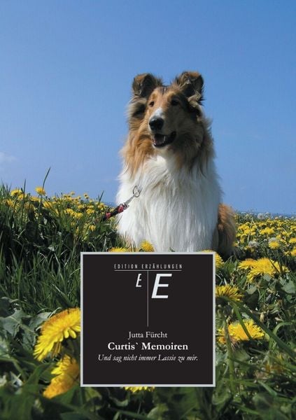 Curtis` Memoiren, Taschenbuch von Jutta Fürcht, Tredition, 9783842411227