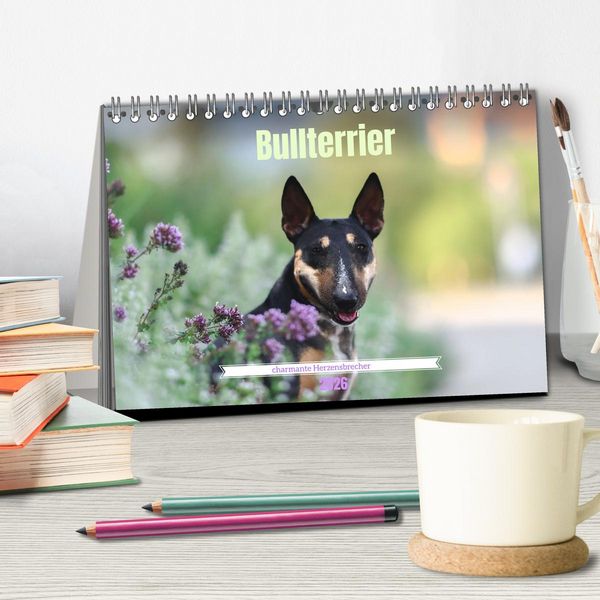 Produktbild: Bullterrier - charmante Herzensbrecher (Tischkalender 2026 DIN A5 quer), CALVENDO Monatskalender