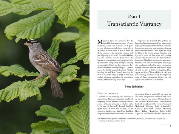 Produktbild: North American Landbirds in the Western Palearctic