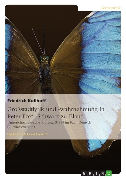 Produktbild: Gro&szlig;stadtlyrik und -wahrnehmung in Peter Fox' "Schwarz zu Blau"