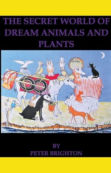 Produktbild: The Secret World of Dream Animals and Plants