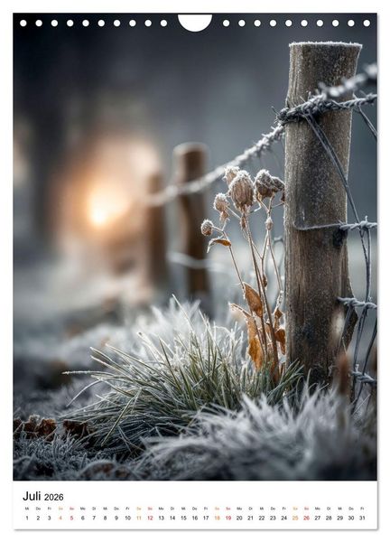 Produktbild: Wintermomente - Natur im wei&szlig;en Kleid (Wandkalender 2026 DIN A4 hoch), CALVENDO Monatskalender