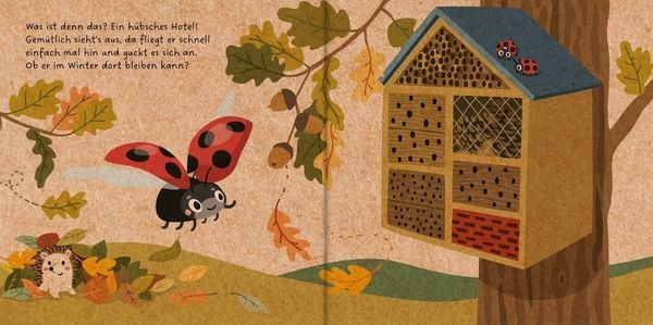 Produktbild: Meine Gartenfreunde. Der kleine Marienkäfer