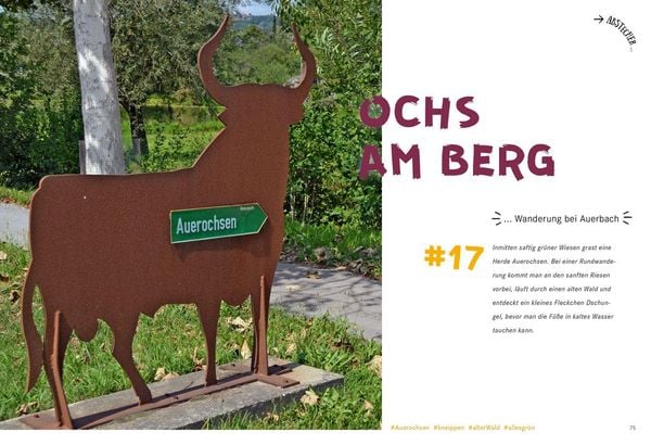 Produktbild: 52 kleine & gro&szlig;e Eskapaden im Bayerischen Wald