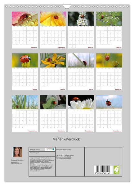 Produktbild: Marienk&auml;fergl&uuml;ck (Wandkalender 2026 DIN A3 hoch), CALVENDO Monatskalender