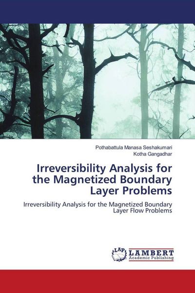 Produktbild: Irreversibility Analysis for the Magnetized Boundary Layer Problems