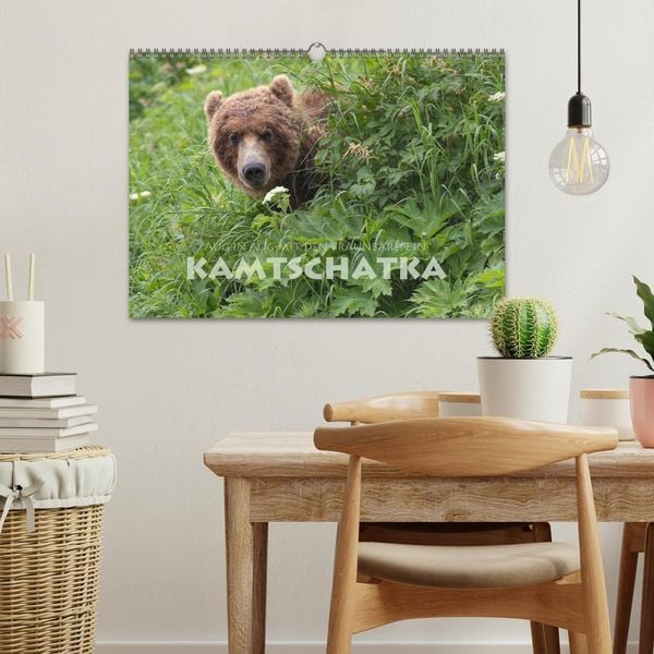 Produktbild: Aug in Aug mit den Braunb&auml;ren in Kamtschatka (Wandkalender 2026 DIN A3 quer), CALVENDO Monatskalender