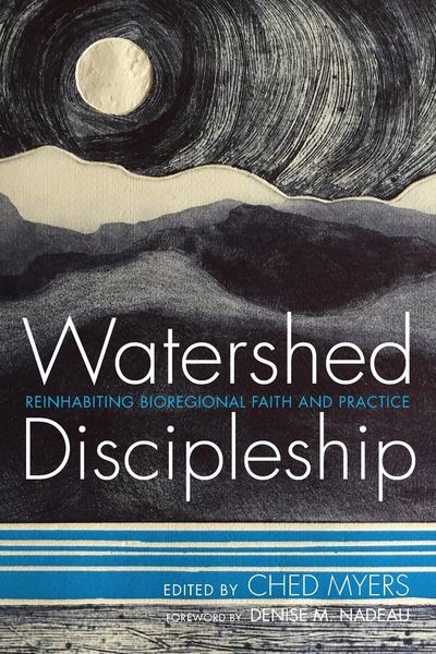Produktbild: Watershed Discipleship