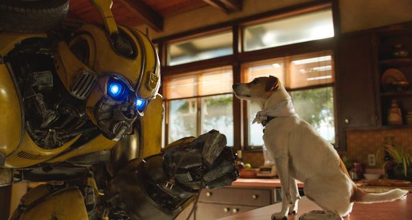 Produktbild: Bumblebee