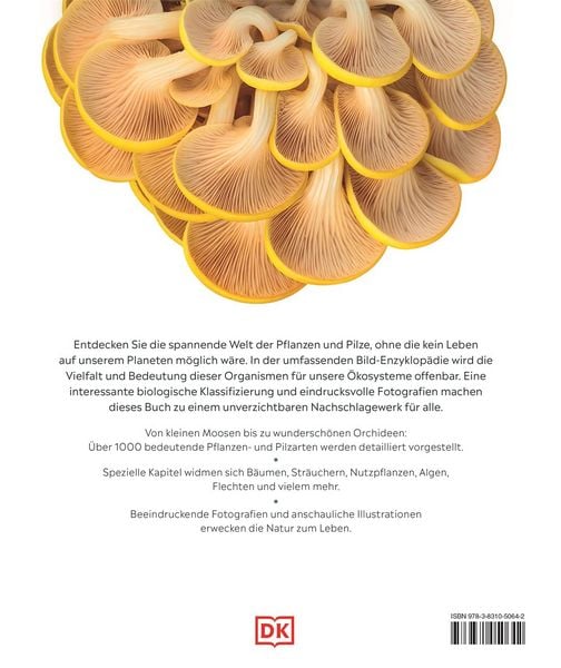 Produktbild: DK Bibliothek. Pflanzen & Pilze