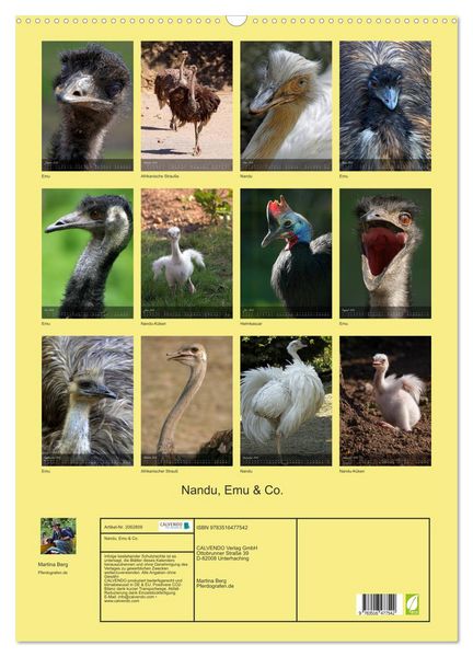 Produktbild: Nandu, Emu & Co. (Wandkalender 2026 DIN A2 hoch), CALVENDO Monatskalender