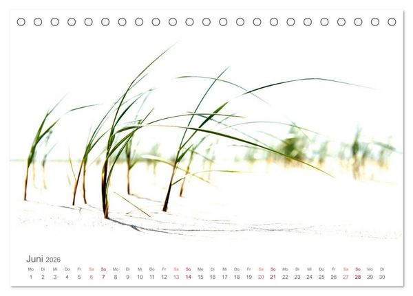 Produktbild: Das "Nordsee-Gef&uuml;hl" (Tischkalender 2026 DIN A5 quer), CALVENDO Monatskalender