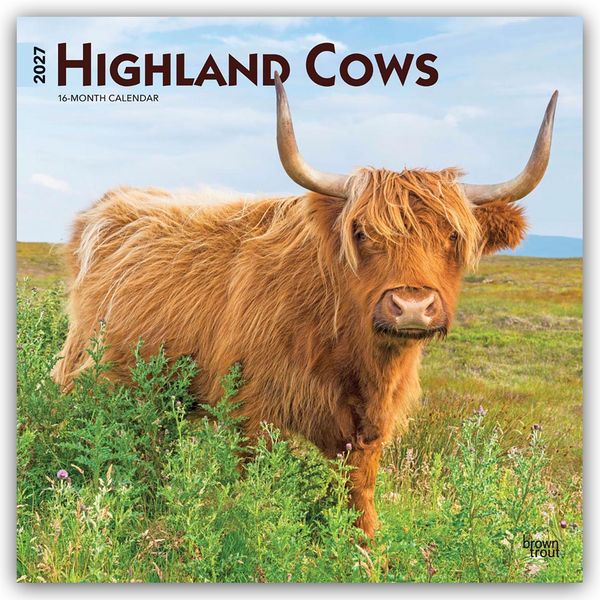 Produktbild: Highland Cows &ndash; Hochlandrinder 2027 &ndash; 16-Monatskalender