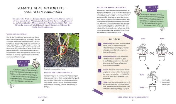 Produktbild: In Null Komma Gr&uuml;n &ndash;&nbsp;Einfach g&auml;rtnern mit Raphy von gruenesparadies