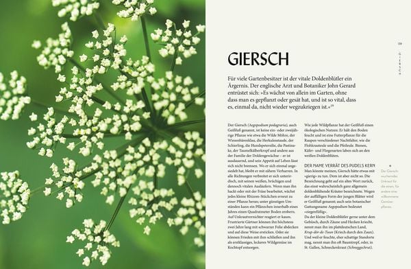 Produktbild: Die "Unkr&auml;uter" in meinem Garten