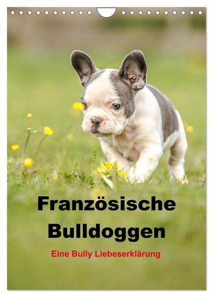 Produktbild: Franz&ouml;sische Bulldoggen - Eine Bully Liebeserk&auml;rung (Wandkalender 2026 DIN A4 hoch), CALVENDO Monatskalender