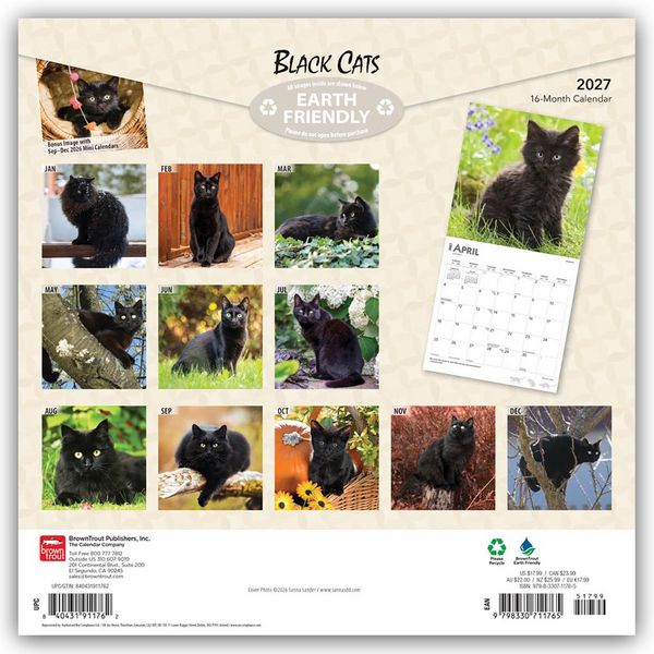 Produktbild: Black Cats &ndash; Schwarze Katzen 2027 &ndash; 16-Monatskalender