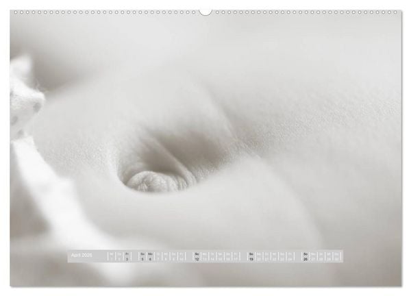 Produktbild: ...so winzig - Babykalender (hochwertiger Premium Wandkalender 2026 DIN A2 quer), Kunstdruck in Hochglanz