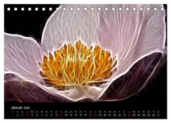 Produktbild: Floral Abstrakt 2026 (Tischkalender 2026 DIN A5 quer), CALVENDO Monatskalender