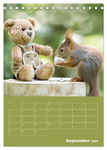Produktbild: Eichh&ouml;rnchen - Abenteuer mit Freund Teddy (Tischkalender 2026 DIN A5 hoch), CALVENDO Monatskalender