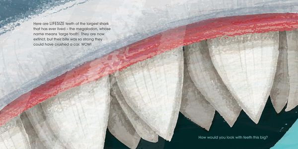 Produktbild: Henn, S: Lifesize Ocean Animals