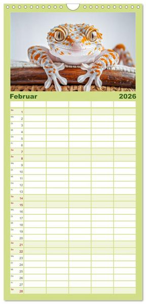 Produktbild: Familienplaner 2026 - Kleine Echsen haben Spass mit 5 Spalten (Wandkalender, 21 x 45 cm) CALVENDO