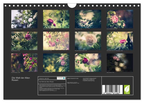 Produktbild: Die Welt der Alten Rosen (Wandkalender 2026 DIN A4 quer), CALVENDO Monatskalender