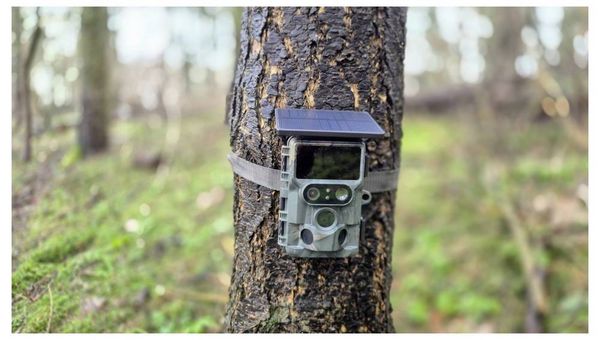 Produktbild: Braun Phototechnik Cam Black1321 Wildkamera WLAN Camouflage