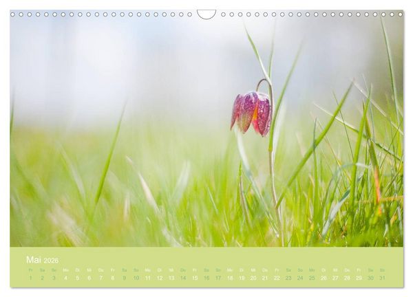 Produktbild: Zeitenwandel - Ein Jahr in der Natur (Wandkalender 2026 DIN A3 quer), CALVENDO Monatskalender