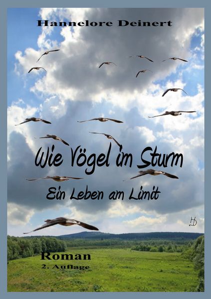 Produktbild: Wie V&ouml;gel im Sturm