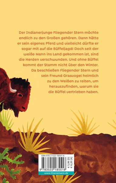 Produktbild: Fliegender Stern