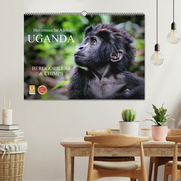 Produktbild: UGANDA - Berggorillas & Chimps (Wandkalender 2026 DIN A2 quer), CALVENDO Monatskalender