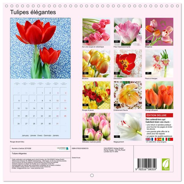 Produktbild: Tulipes &eacute;l&eacute;gantes (Calendrier mural carr&eacute; 2026 30x30 cm) Calendrier double avec une page pour vos prises de notes