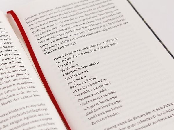 Produktbild: Die Romantik. Ausbreitung, Bl&uuml;tezeit und Verfall