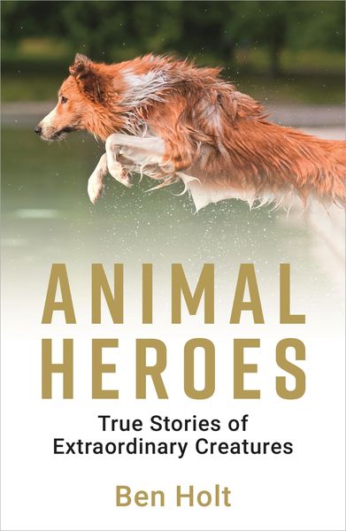Produktbild: Animal Heroes