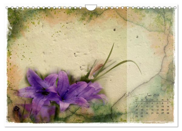 Produktbild: Bl&uuml;te trifft auf Aquarell (Wandkalender 2026 DIN A4 quer), CALVENDO Monatskalender