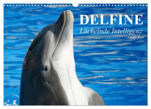Produktbild: Delfine - L&auml;chelnde Intelligenz (Wandkalender 2026 DIN A3 quer), CALVENDO Monatskalender