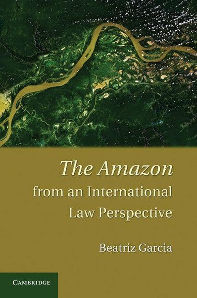 Produktbild: The Amazon from an International Law Perspective