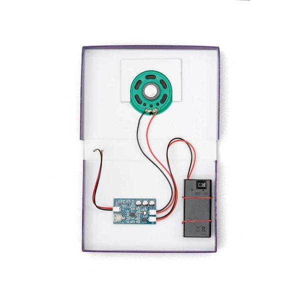 Produktbild: FRANZIS 67248 - CheXperiment Fledermaus-Check