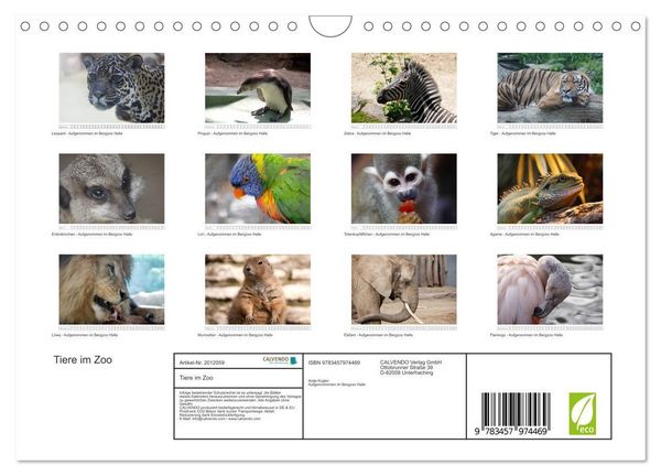 Produktbild: Tiere im Zoo (Wandkalender 2026 DIN A4 quer), CALVENDO Monatskalender