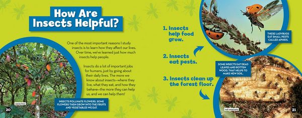 Produktbild: You Can Be an Entomologist