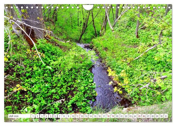 Produktbild: Gr&uuml;nes Estland - Naturparadies am Baltischen Meer (Wandkalender 2026 DIN A4 quer), CALVENDO Monatskalender