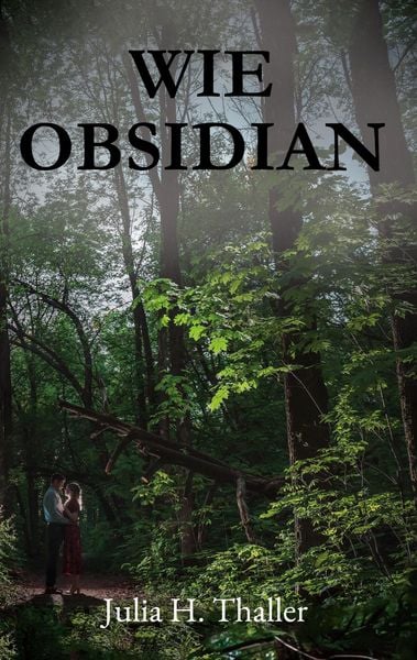 Produktbild: Wie Obsidian