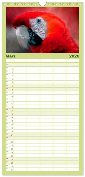 Produktbild: Familienplaner 2026 - Mein bunter Papagei mit 5 Spalten (Wandkalender, 21 x 45 cm) CALVENDO